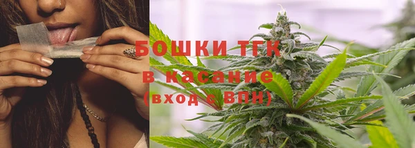 спиды Богданович