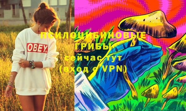 трава Белокуриха