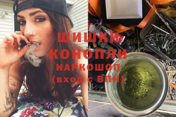 спиды Богданович