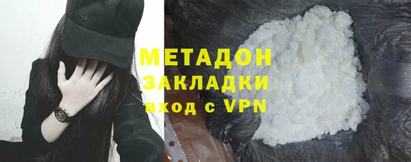 трава Белокуриха