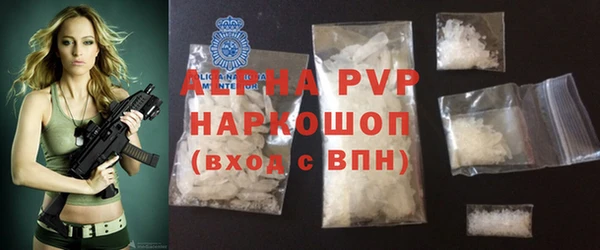 прущие грибы Беломорск