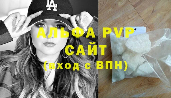 прущие грибы Беломорск