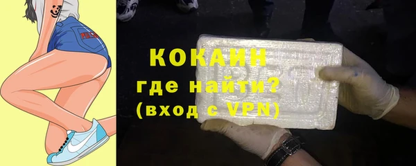 спиды Богданович