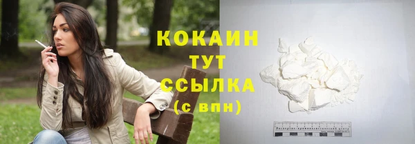 прущие грибы Беломорск
