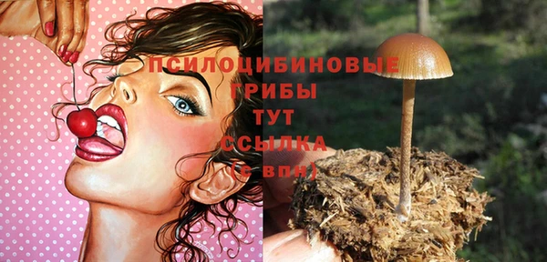 Альфа ПВП Богородск