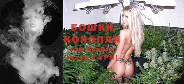 трава Белокуриха