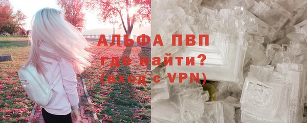 прущие грибы Беломорск