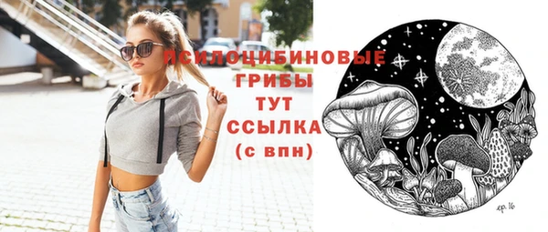 прущие грибы Беломорск