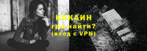 прущие грибы Беломорск