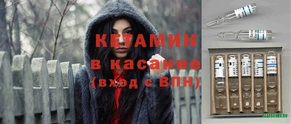 прущие грибы Беломорск