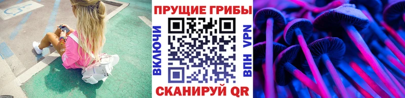 Псилоцибиновые грибы Psilocybe  hydra онион  Липецк 