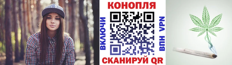 купить   Липецк  Канабис Amnesia 